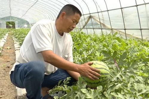 银行吴江吃瓜,吃瓜群众眼中的金融风云