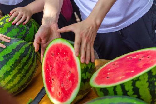 吃瓜自由店,揭秘网红美食背后的秘密