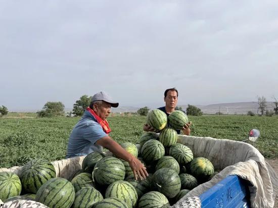 潍城吃瓜,一场别开生面的“吃瓜”之旅