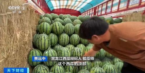 安佳吃瓜,揭秘娱乐圈幕后真相