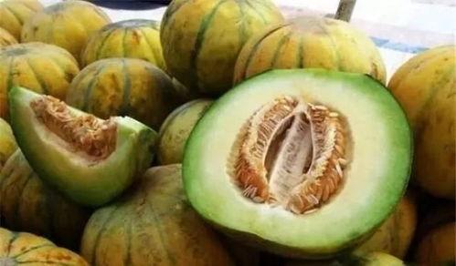 吃甜瓜老汉瓜,探寻吃甜瓜老汉瓜的传奇故事