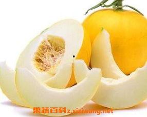 痛风可以吃伊丽莎白瓜,伊丽莎白瓜助力健康饮食