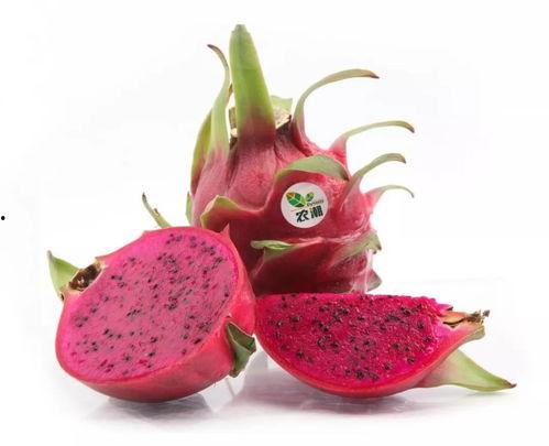 儿童吃角瓜中毒,食品安全教育刻不容缓