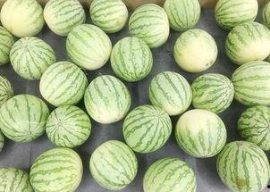 之星吃瓜,揭秘娱乐圈幕后故事