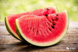 吃瓜解馋,揭秘娱乐圈的甜蜜与苦涩