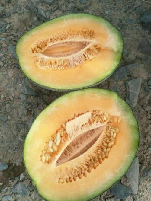 中卫网红怎么吃瓜,揭秘吃瓜达人如何玩转网络热点