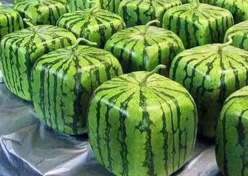 吃瓜来源,探寻网络舆论的真相与影响