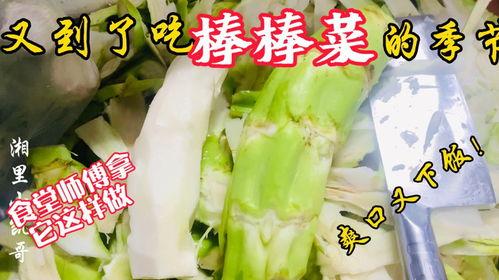 唐县教师吃瓜,揭秘校园里的“瓜田”趣闻