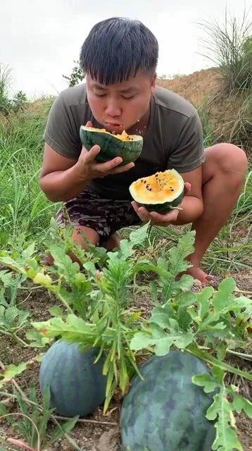 小西瓜吃瓜