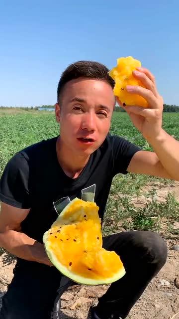 吃瓜的免子,吃瓜兔子带你探秘娱乐圈幕后故事