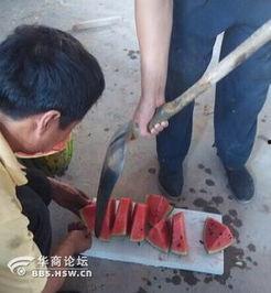 吃瓜搬砖头视频,揭秘网络红人的日常