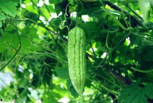 每日吃瓜看点,揭秘娱乐圈幕后故事