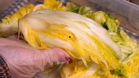 乐川弟弟吃瓜,揭秘娱乐圈幕后故事