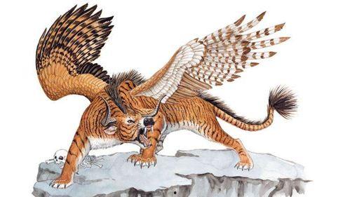 神兽回笼吃瓜视频,吃瓜群众围观奇观