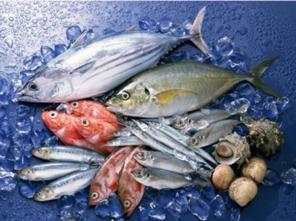 鱼吃小瓜,生态和谐共舞画卷