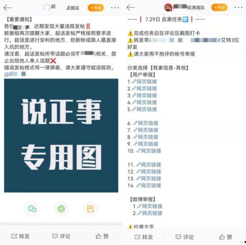 吃瓜营销号单词,揭秘吃瓜营销号的幕后故事