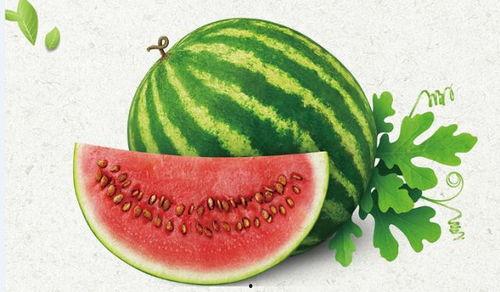 释放天性吃瓜,揭秘当代年轻人的“天性吃瓜”现象