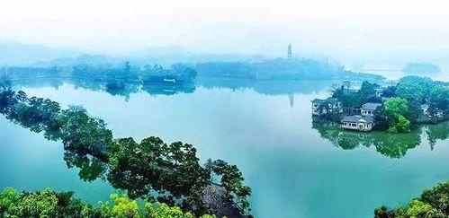 惠州西湖吃瓜,夏日吃瓜好去处