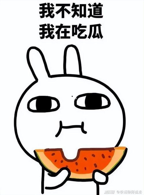 吃瓜小太妹,揭秘娱乐圈背后的八卦风云