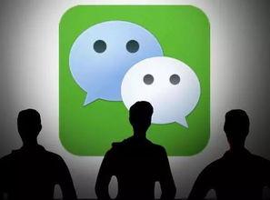 吃瓜微博故事背景,揭秘吃瓜微博背后的故事