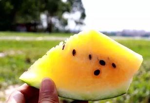 吃瓜独醉,揭秘娱乐圈背后的故事