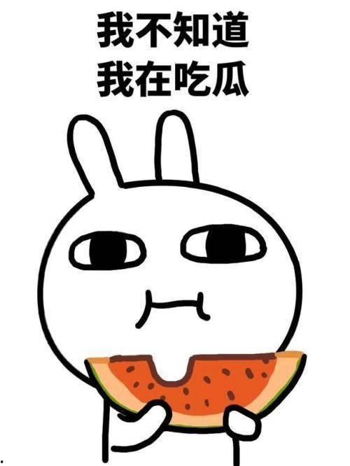 吃瓜太阳女神是谁,网络红人的崛起与影响力