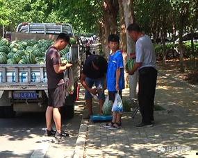 游客吃瓜群众怎么处理,智慧应对旅游中的突发事件