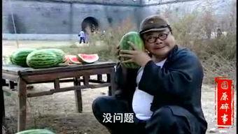 胡局长吃瓜视频,揭秘官场幕后风云