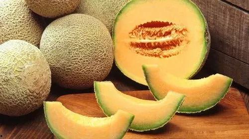 瓜州4月有哈密瓜吃吗,哈密瓜香飘万里”