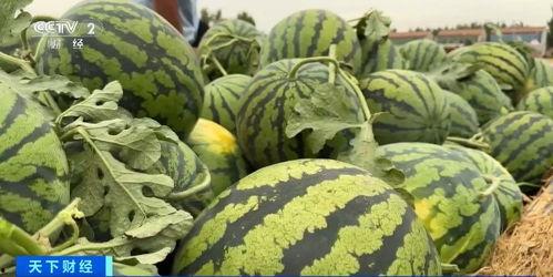 国公府吃瓜日常,宫廷风云下的吃瓜日常