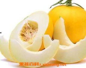 吃伊丽莎白瓜咳嗽,揭秘夏日美食背后的健康隐患