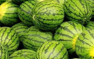 西瓜只吃瓜芯,揭秘西瓜核心的秘密与魅力