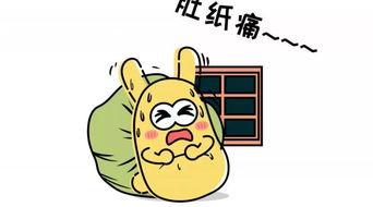 吃瓜群众的ppt,吃瓜群众视角下的PPT解析与启示