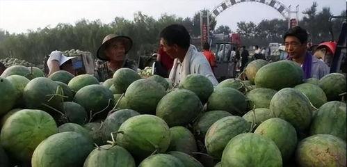 哪个国吃不起瓜,为何我国部分地区民众吃不起瓜