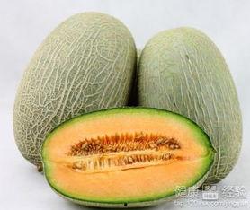 引流吃哈密瓜好吗,探索引流美食新风尚
