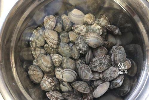 女的老发吃瓜,揭秘娱乐圈的“吃瓜”风云