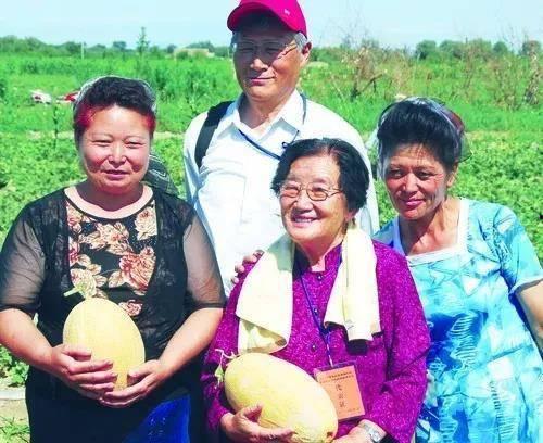 自由吃瓜后续剧情,揭秘剧情反转，谁才是幕后黑手？