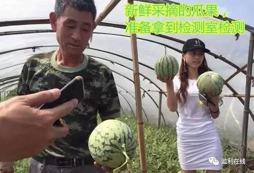 延安吃瓜直播,揭秘红色革命老区的现代生活