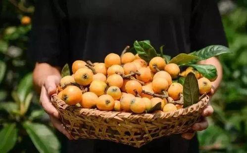 你在想peach 吃瓜,揭秘“吃瓜群众”背后的趣味与真相