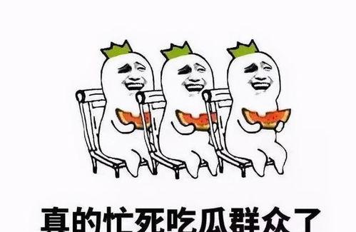 渣男吃瓜女友,揭秘情感漩涡中的真相与反思