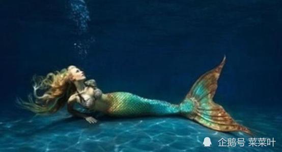 人鱼陷落陆吃瓜,一场奇幻与现实交织的吃瓜盛宴