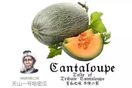 朕吃瓜,揭秘宫廷秘闻，一网打尽皇家八卦