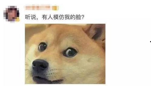 吃瓜表情吃旺柴,揭秘网络社交新潮流