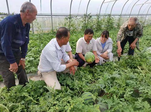 农业人吃瓜群众,揭秘农村生活新风尚