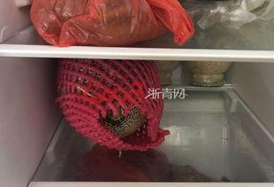 李奶奶吃哈密瓜,甜蜜回忆里的健康生活