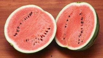 瓜女子吃西瓜,夏日里的甜蜜邂逅