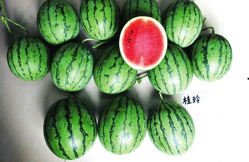 南宁最新吃瓜事件新闻,揭秘XX事件背后的真相