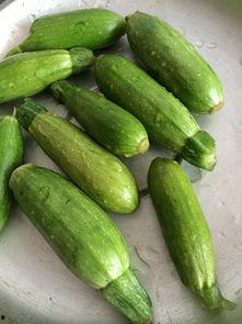 孕妇可以吃小角瓜,小角瓜助力母婴健康