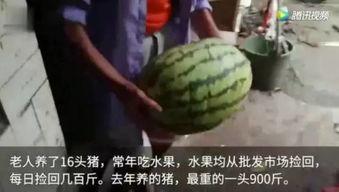 吃瓜完整,吃瓜群众眼中的明星生活