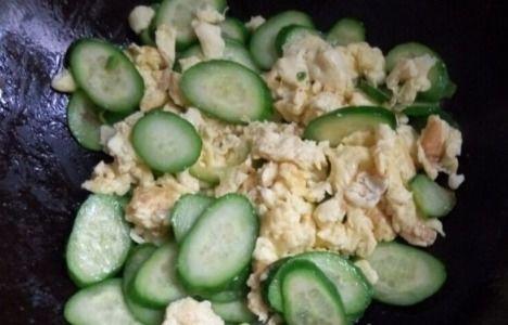 荷兰瓜花如何吃,探索创意烹饪新境界